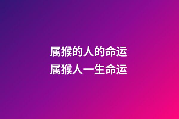 属猴的人的命运 属猴人一生命运-第1张-观点-玄机派